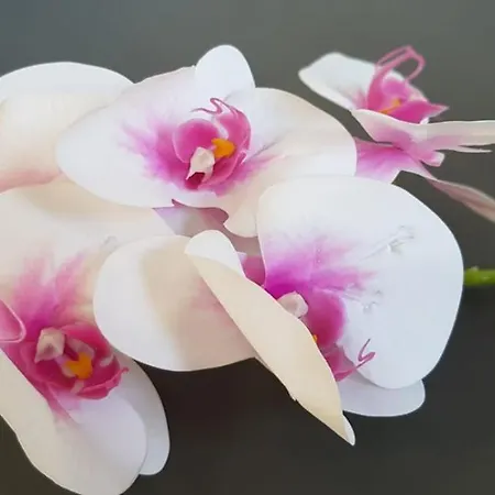 A Διαμέρισμα *