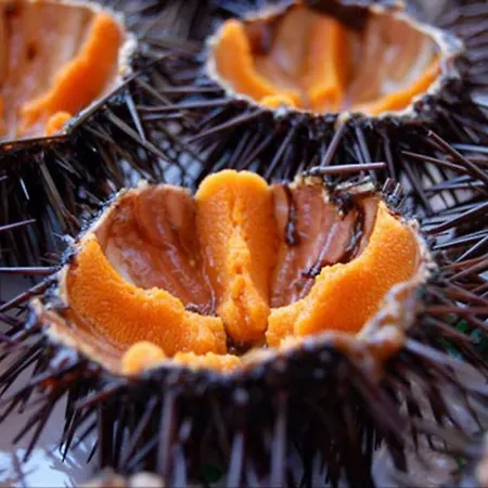 Διαμέρισμα A