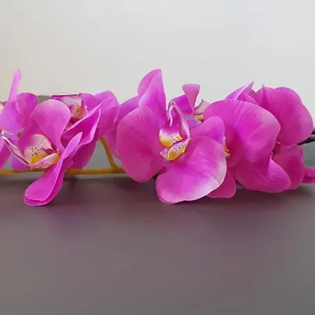 Διαμέρισμα A Gallipoli